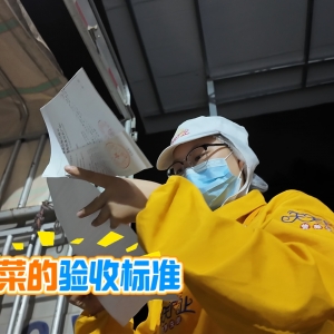 凌晨3點(diǎn)的堅(jiān)守：直擊“天天向上”工廠(chǎng)蔬菜驗(yàn)收第一關(guān)